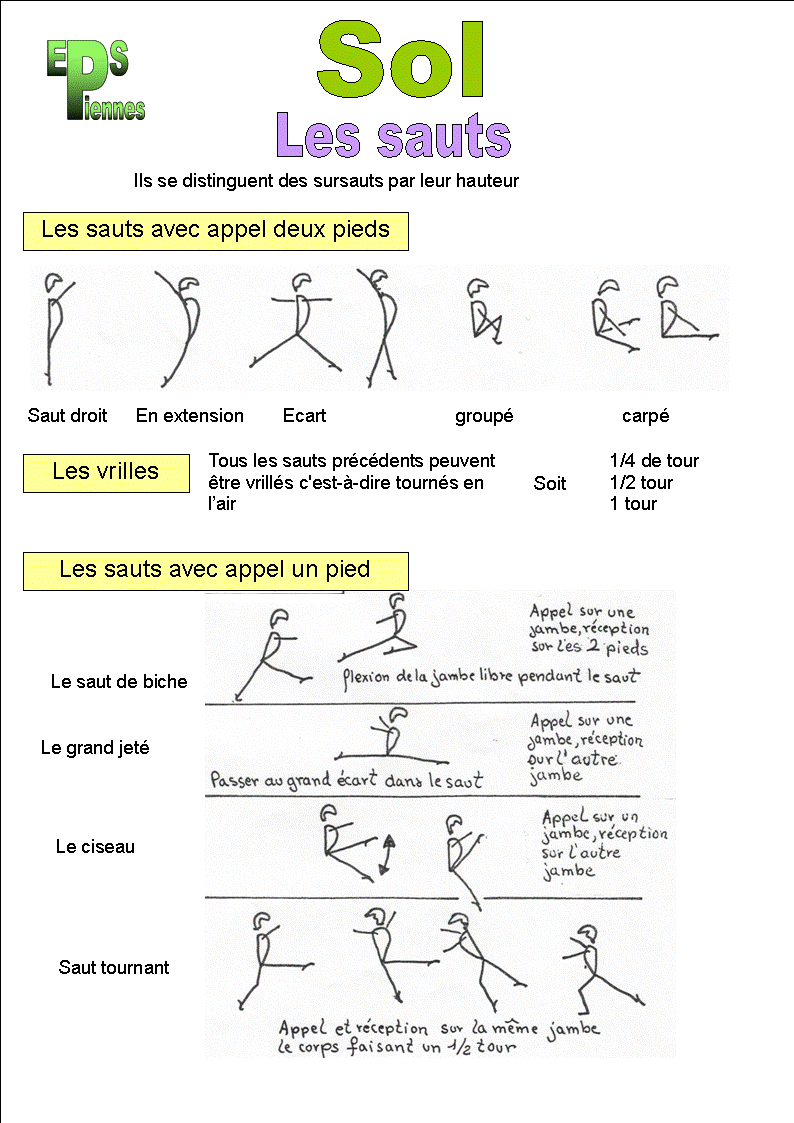Les dossiers de gymnastique Les dossiers de gymnastique